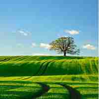 html表‍单﻿怎﻿么‍做﻿